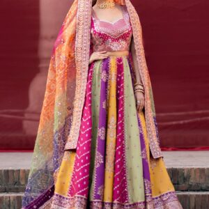 Bin Ilyas Multicolor Bridal Raw Silk Hand Embellished Frock - Maxi